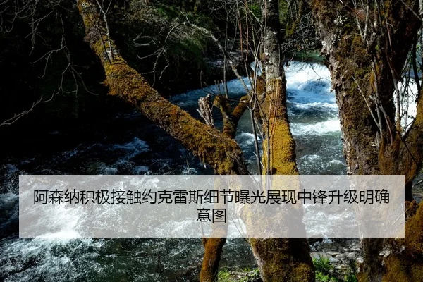 阿森纳积极接触约克雷斯细节曝光展现中锋升级明确意图