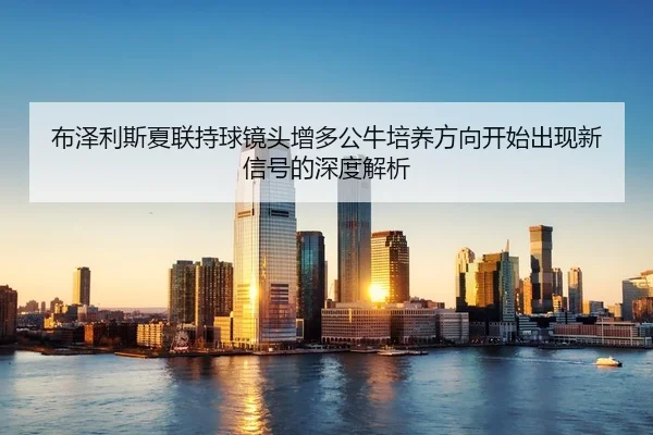 布泽利斯夏联持球镜头增多公牛培养方向开始出现新信号的深度解析